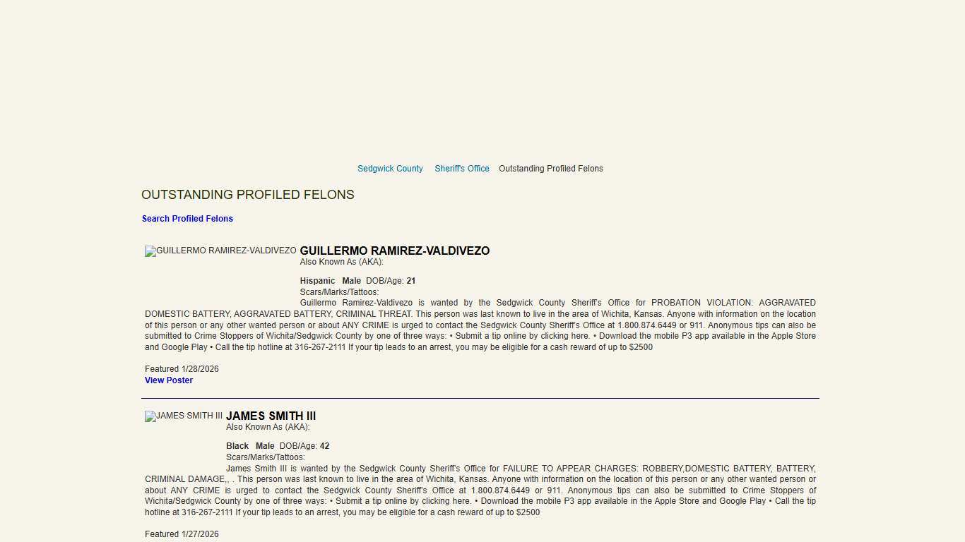 Outstanding Profiled Felons